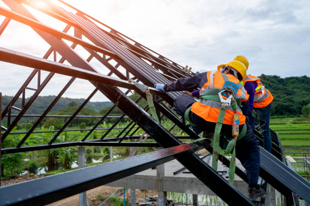 Professional Roofing Contractor in Novato, CA