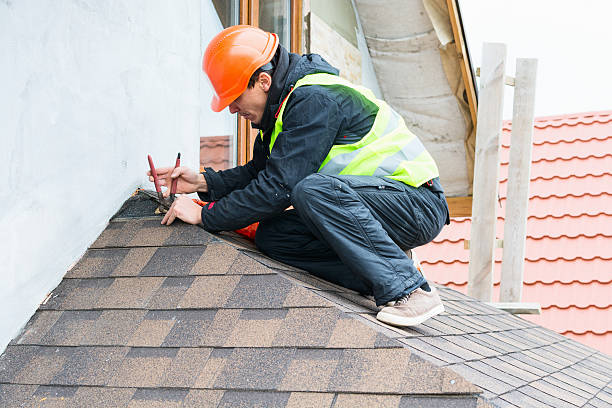 Best Local Roofing Companies  in Novato, CA