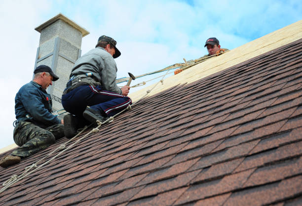 Best Slate Roofing Contractor  in Novato, CA