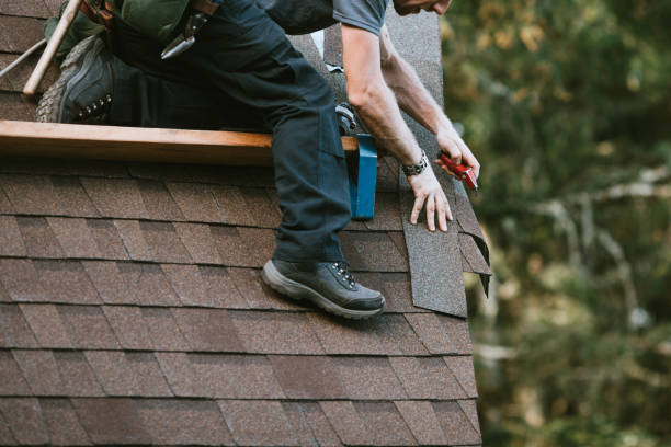 Best Roof Leak Repair  in Novato, CA